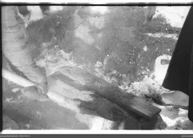 VAR-2-45-12