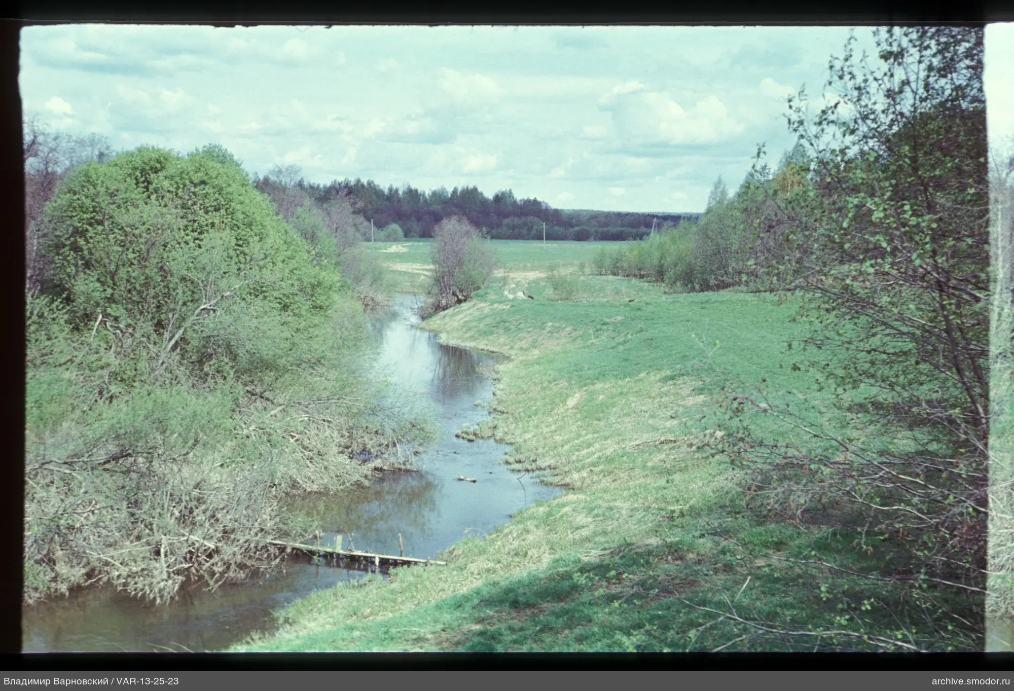 River with trees and wooden structure