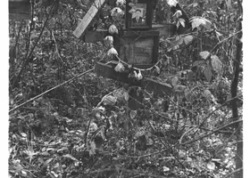 VAR-6-9-1
