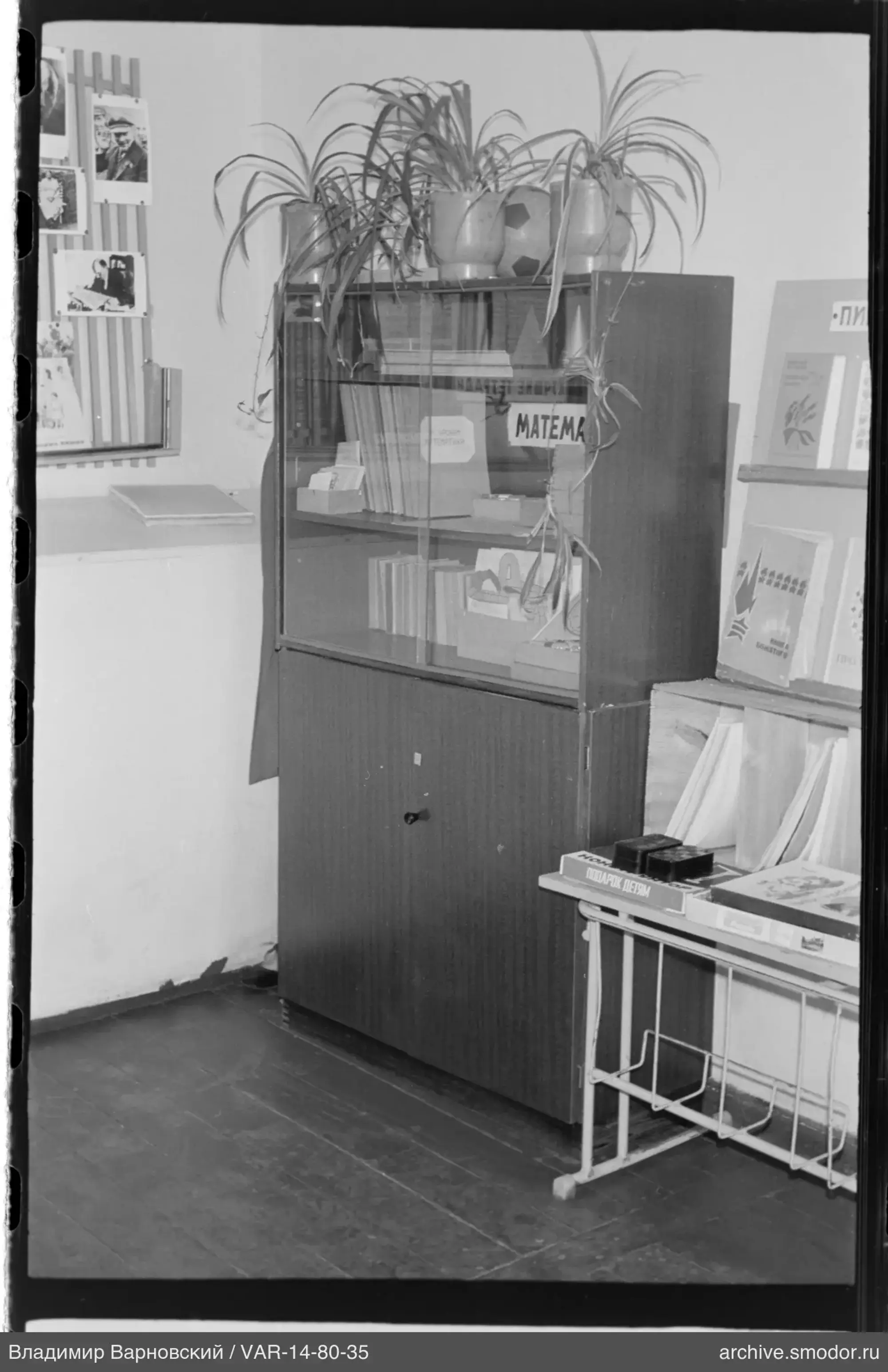 Zimmer mit Bücherregal und Pflanzen