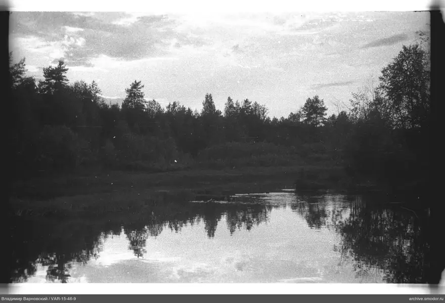 Водоём с отражением деревьев