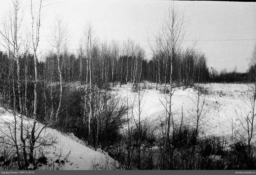 Verschneite Landschaft mit Birken und Stromleitungen