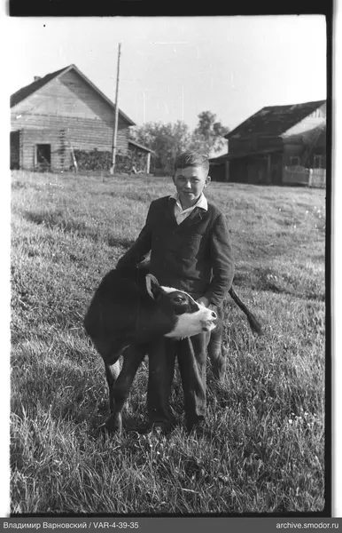 Junge mit Kalb in der Natur