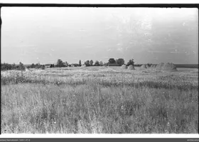 VAR-1-57-6