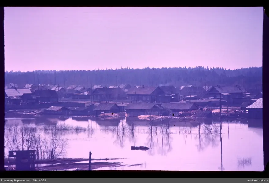 Flooded area with trees and houses
