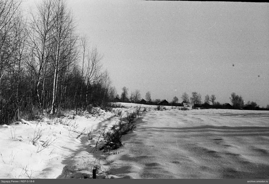Schneebedecktes Feld mit Birken und Häusern