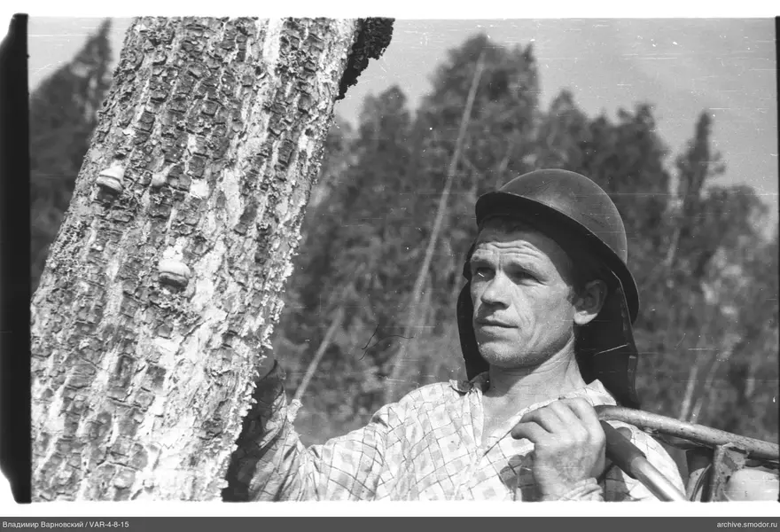 Man with helmet next to a tree