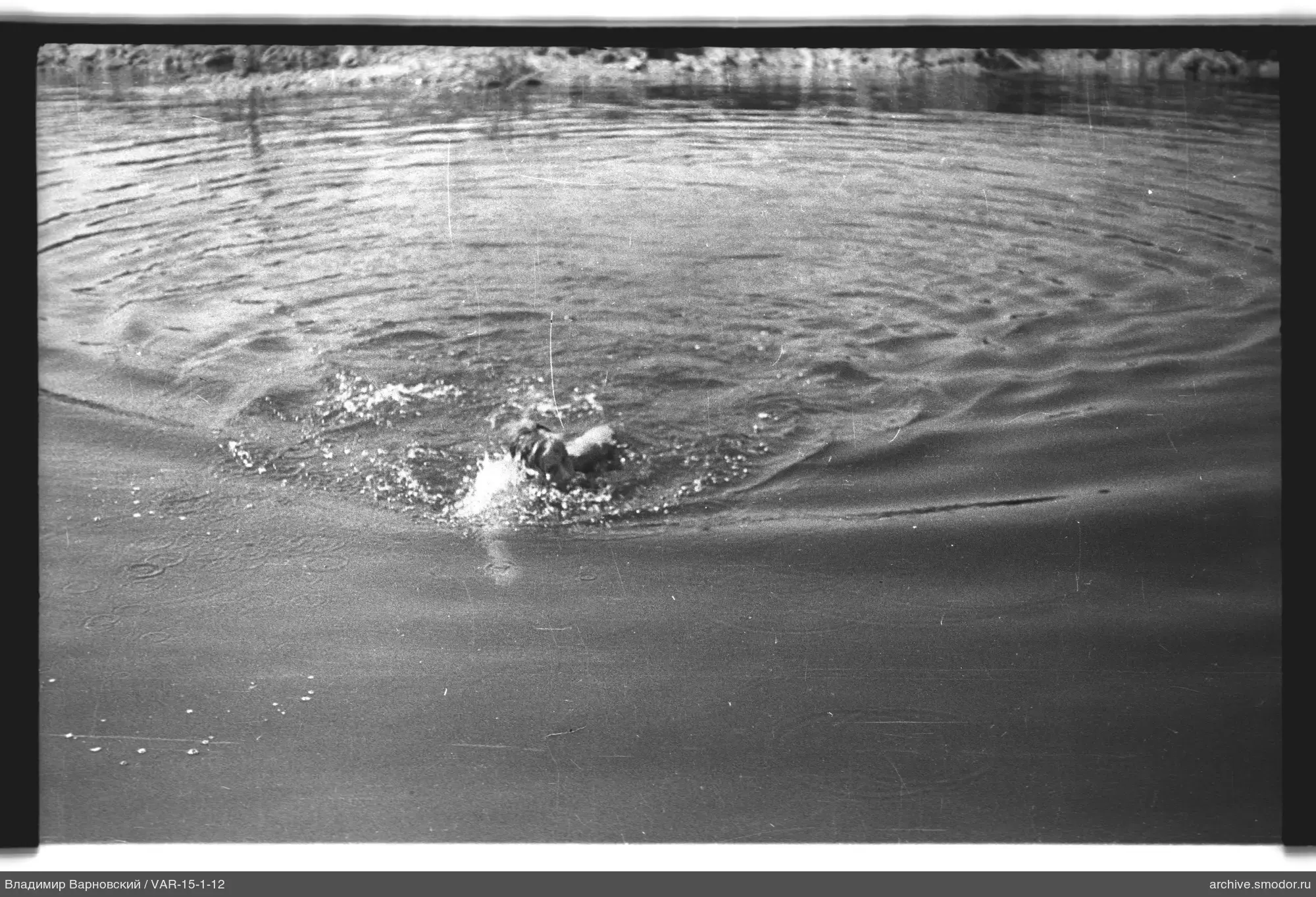 Person schwimmt im Wasser