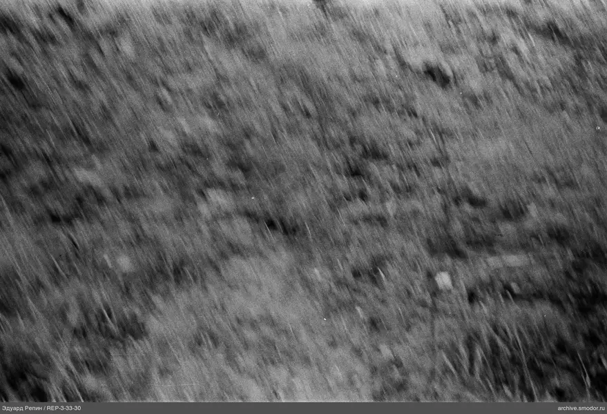 Land mit Gras und Steinen