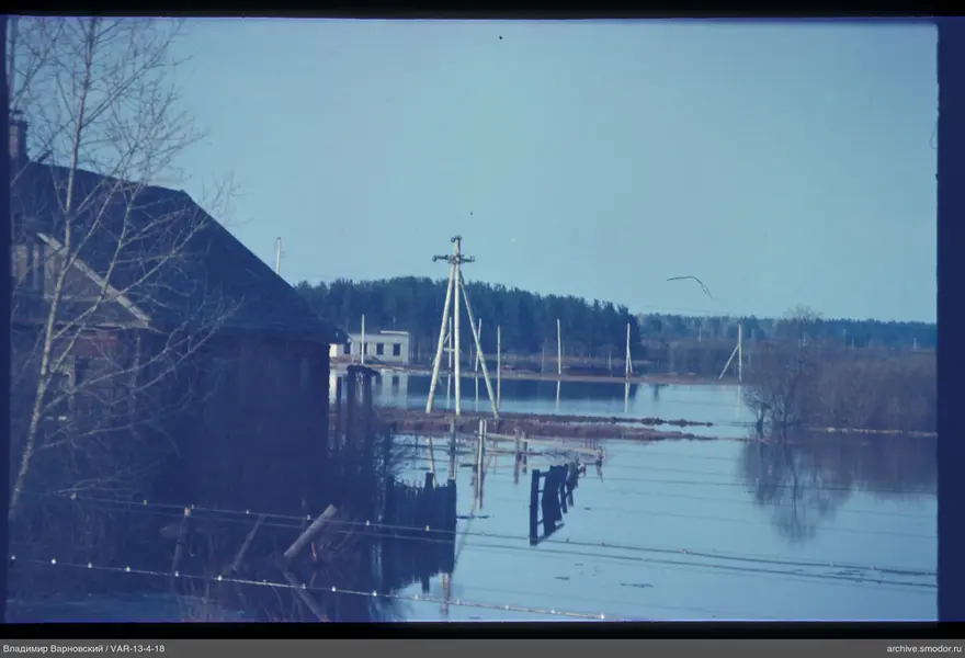 View of flooded area and forest