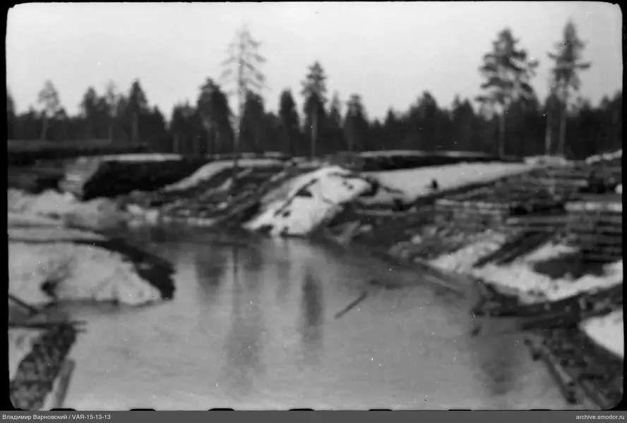 Водоём с отражением деревьев