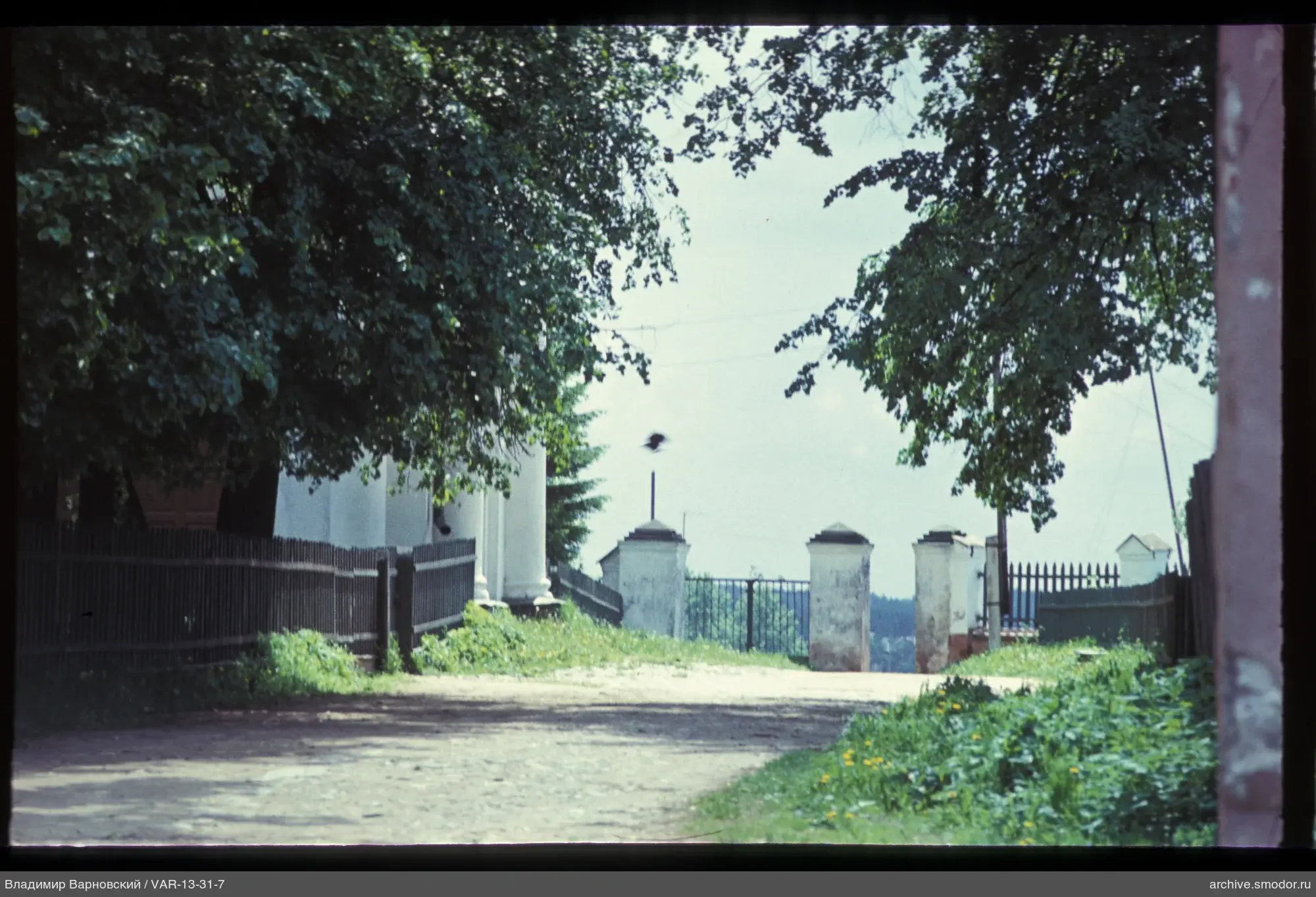 Landschaftliche Straße mit Bäumen und Zaun