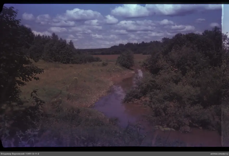 Winding stream in natural landscape