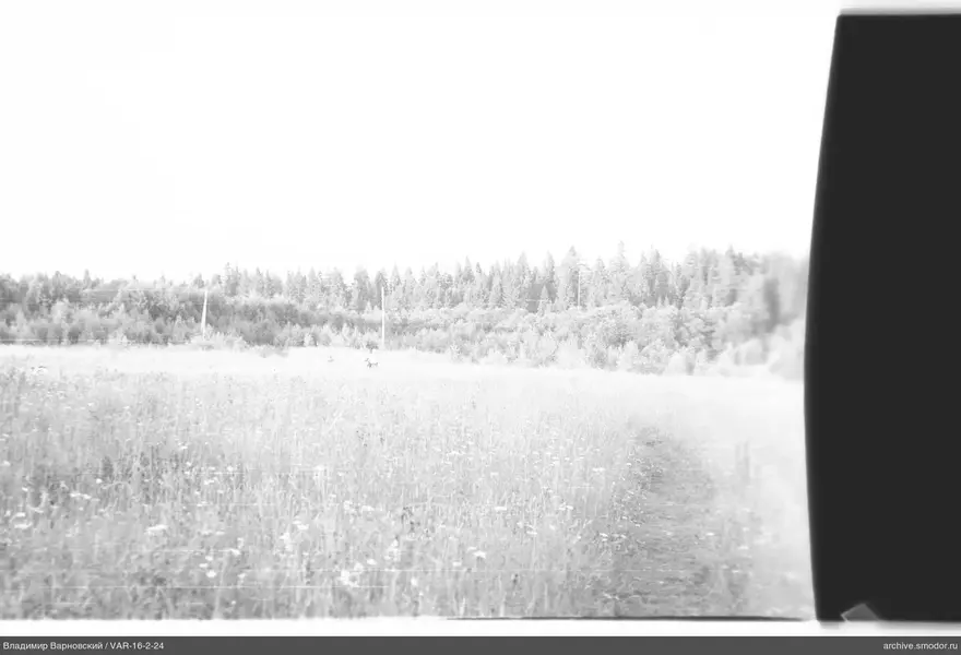 Landschaft mit Feld und Wald