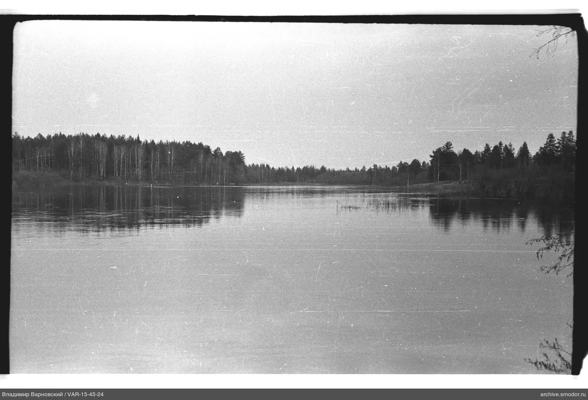 Wide water area with tree reflections