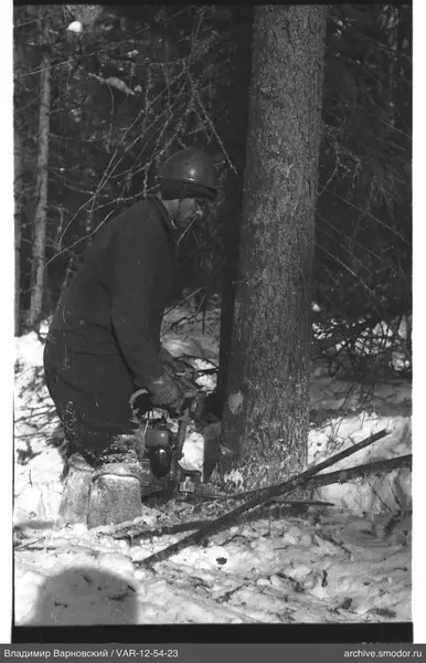 Mann mit Kettensäge am Baum im Schnee