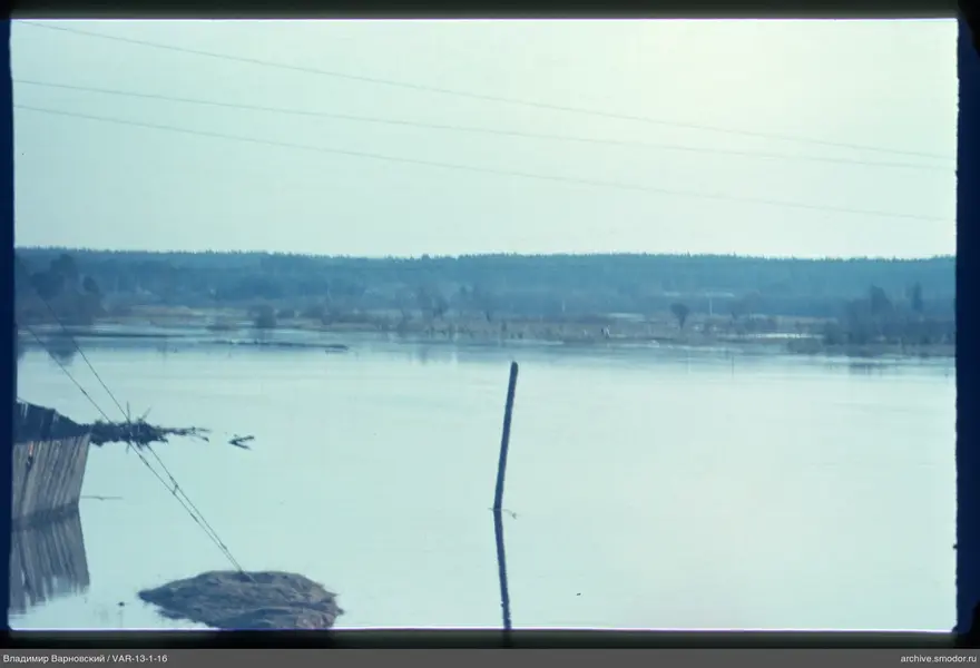 Water surface with pole reflection