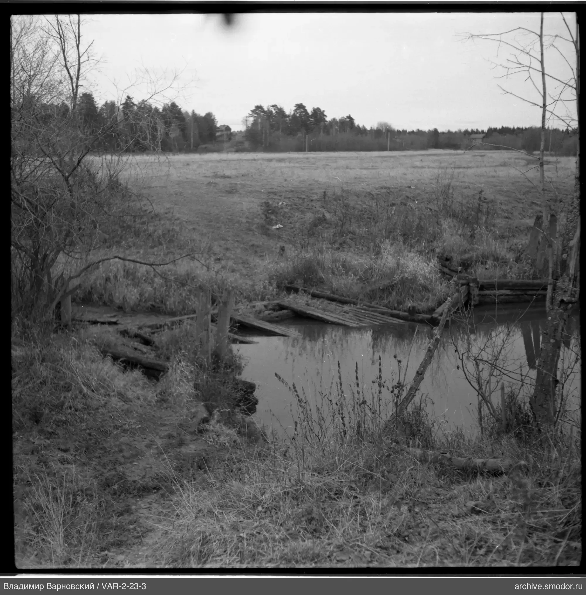 Kleiner Wasserbereich mit Holzsteg und Baumstammzaun