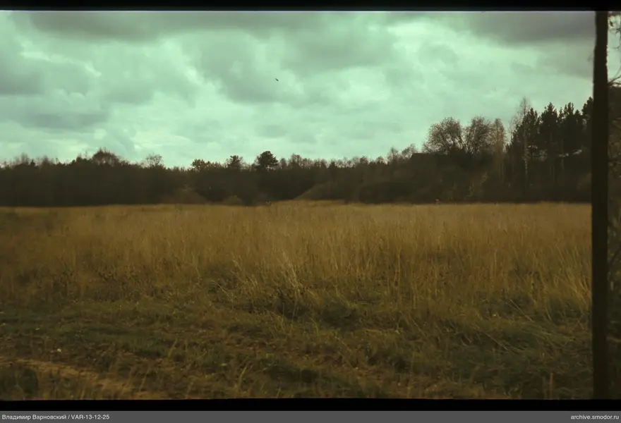 Landscape with field, trees, and building