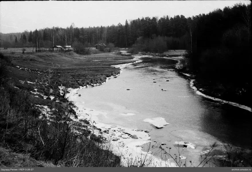 Blick auf Fluss und Wald mit Gebäuden