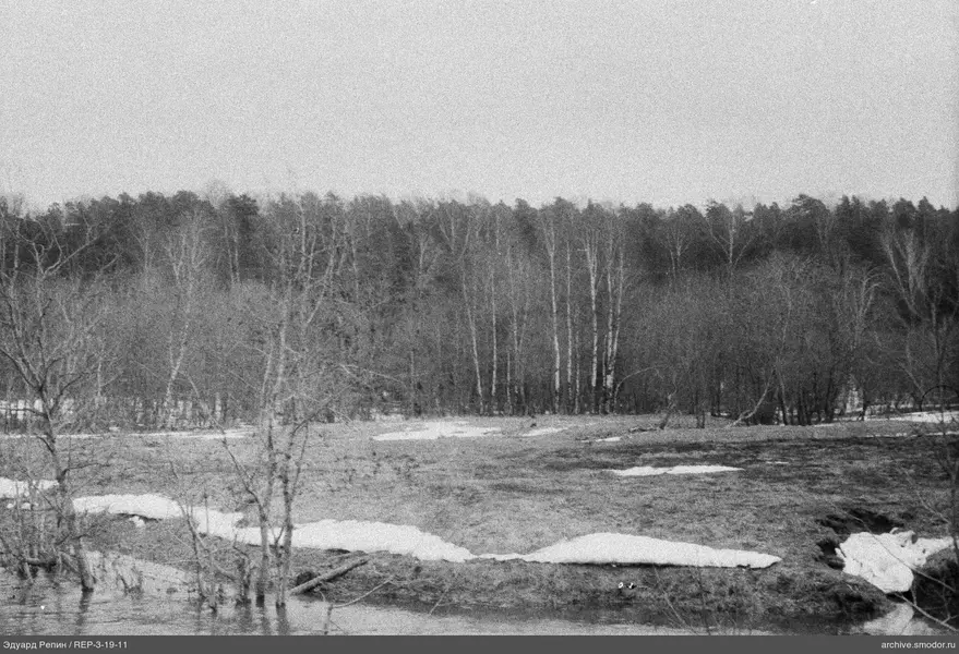 Waldrand mit Wasser und Schneeresten