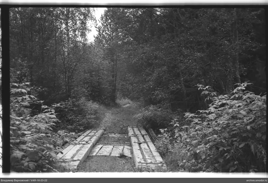 Waldweg mit Holzsteg