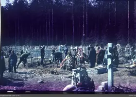 VAR-13-19-1