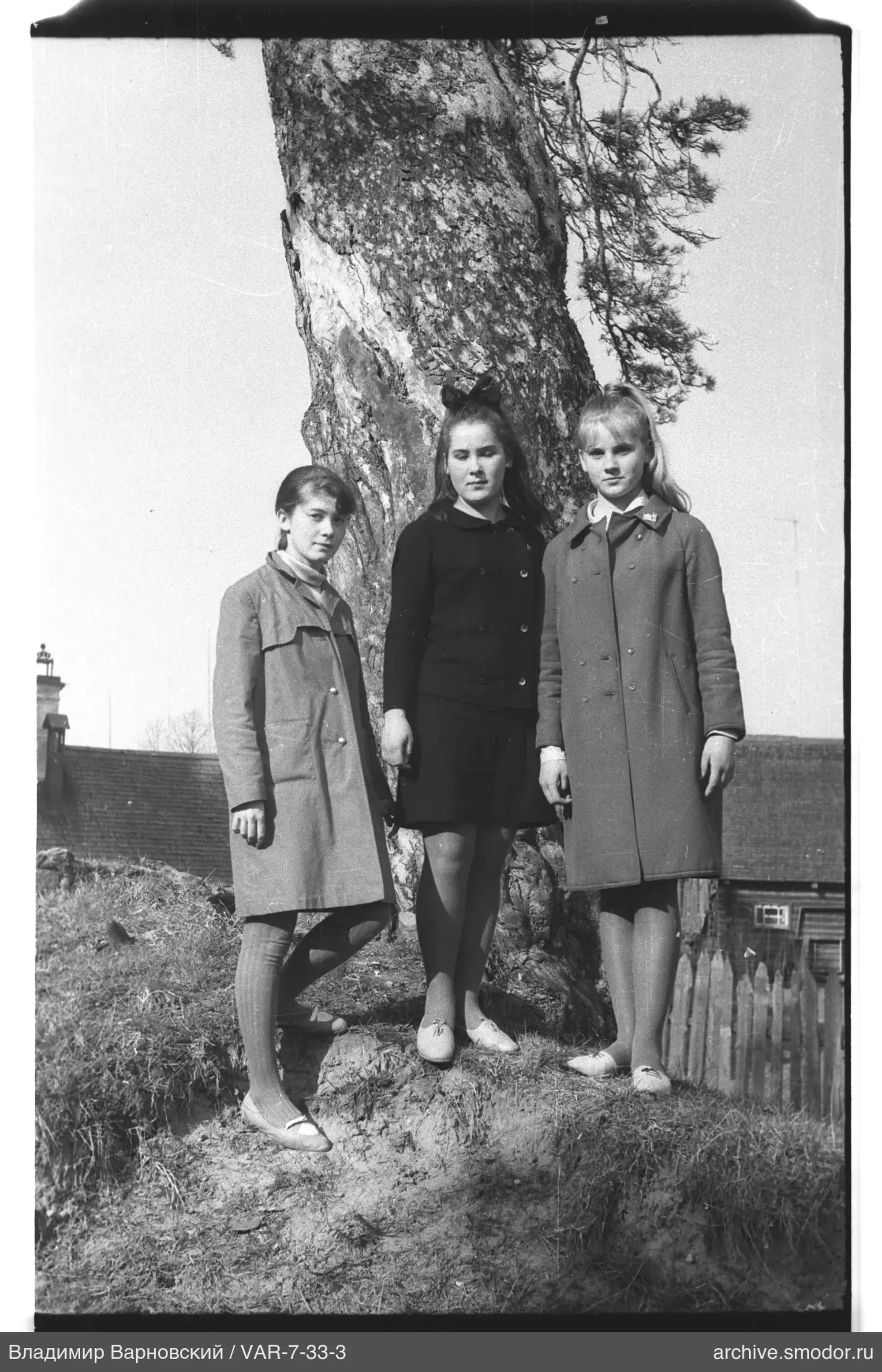 Group portrait of girls by a tree