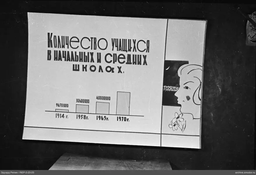 Plakat mit Diagramm und Frauenprofil