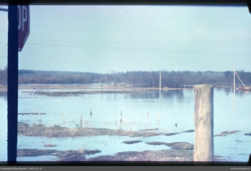 Flooded area with wooden posts and stakes