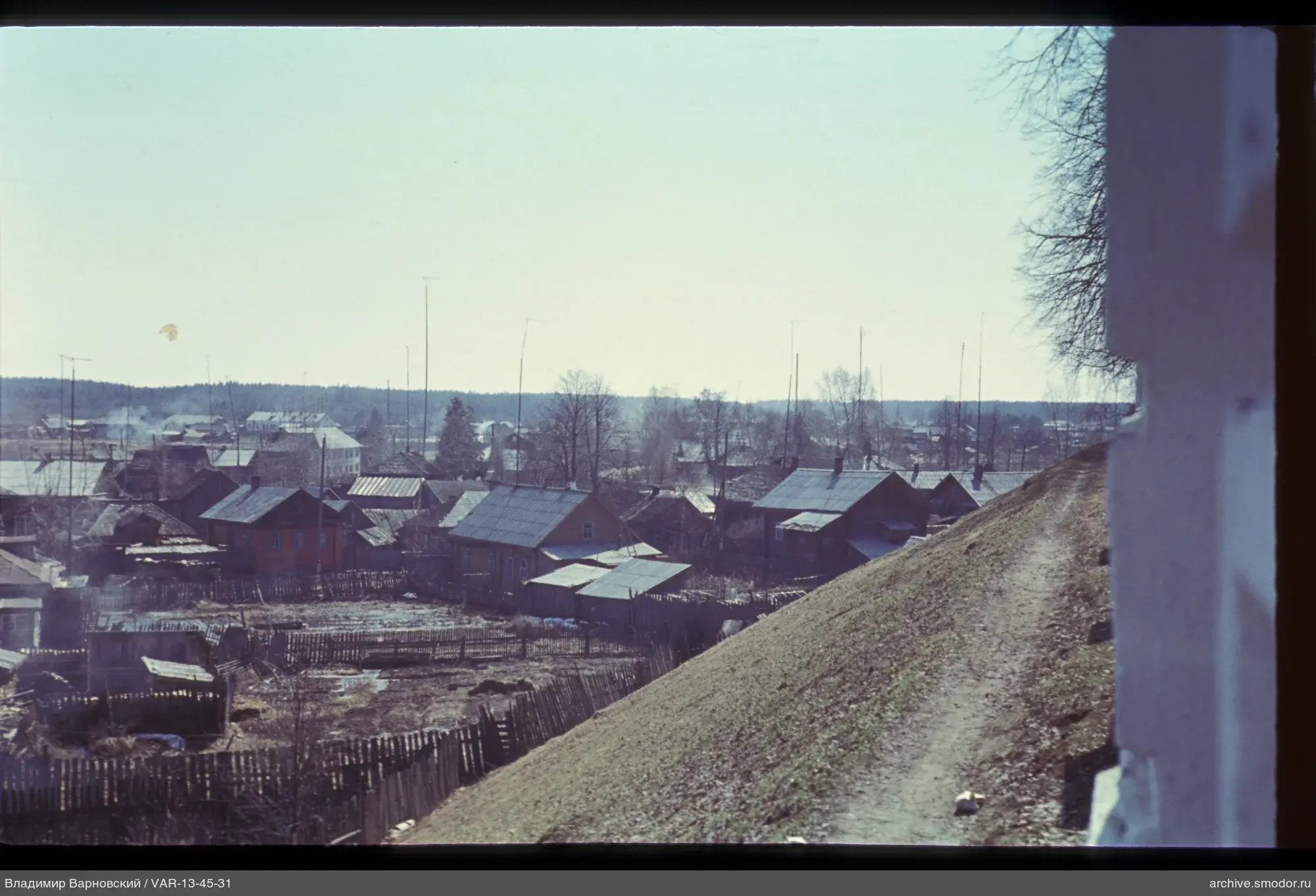 Ansicht mit Häusern und Wald