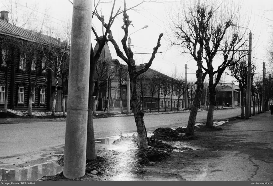 Straße mit Bäumen und Holzgebäude