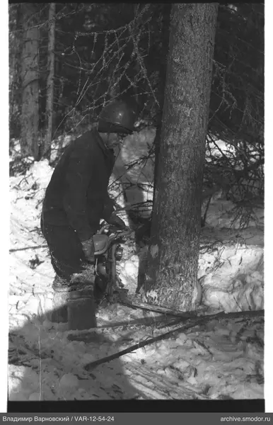 Mann mit Kettensäge am Baum im Schnee
