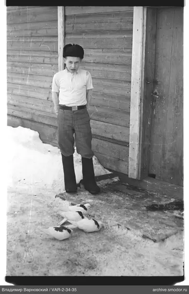 Boy with pigeons near a wooden house