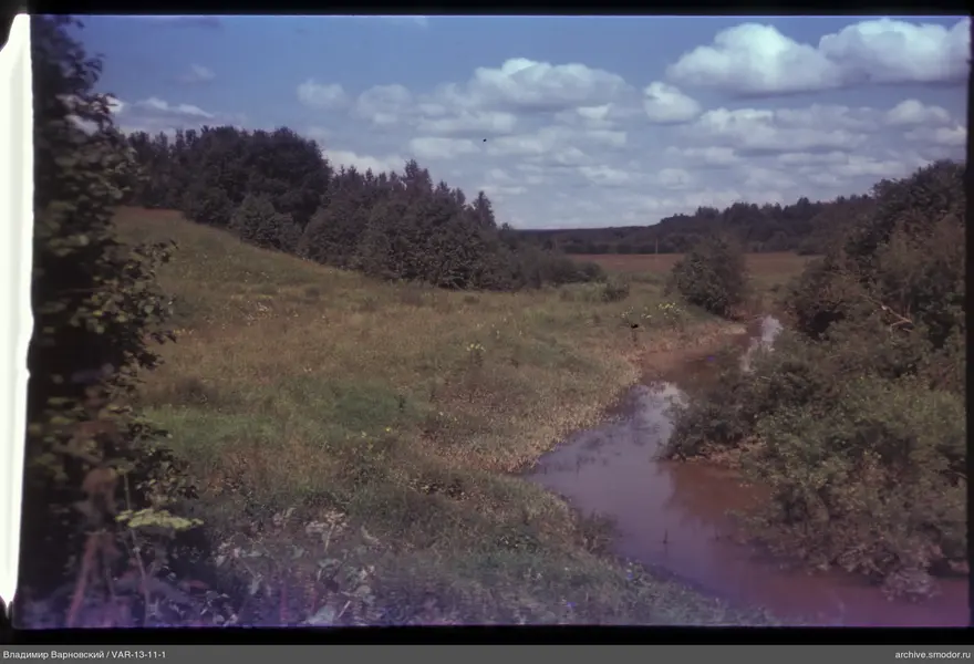 Landscape with river and forest