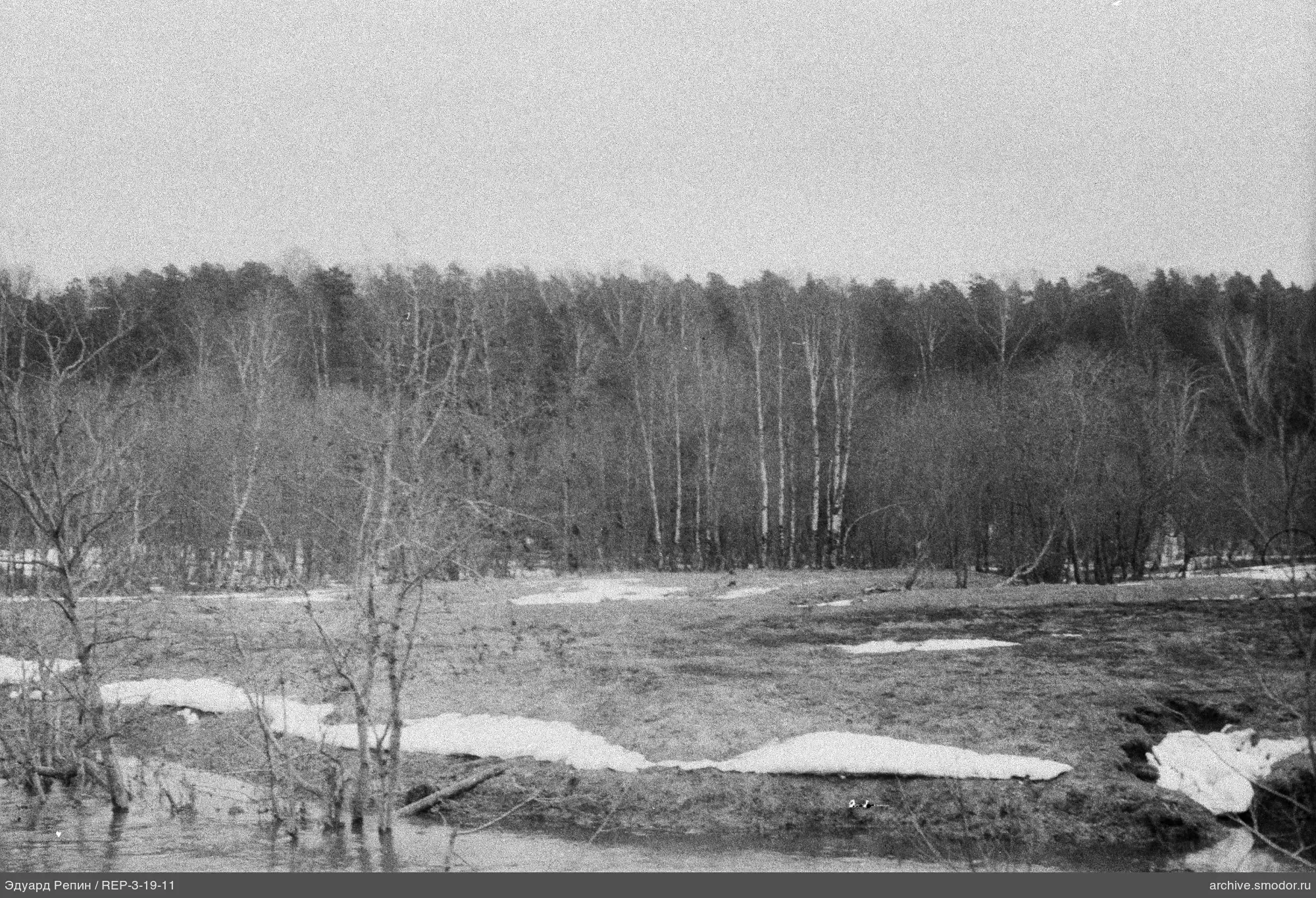 Waldrand mit Wasser und Schneeresten
