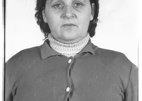 VAR-12-8-5