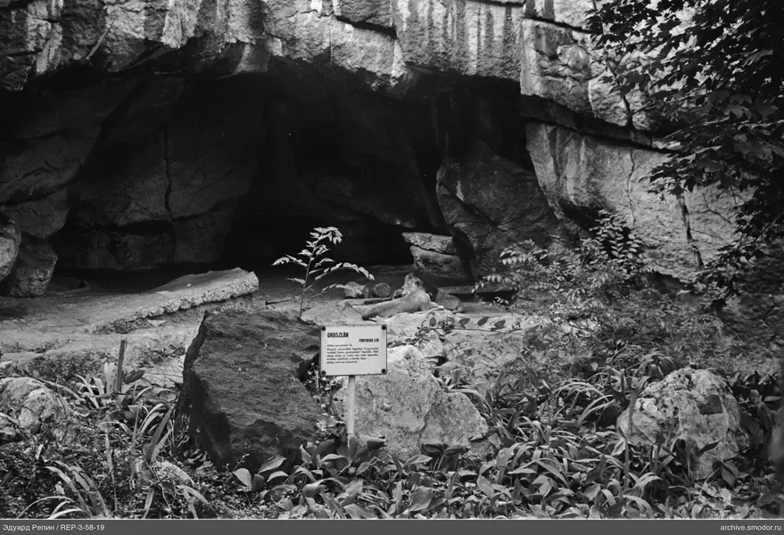 Löwe auf einer Steinstufe vor einer Höhle