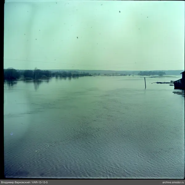 View of water surface with trees and structure
