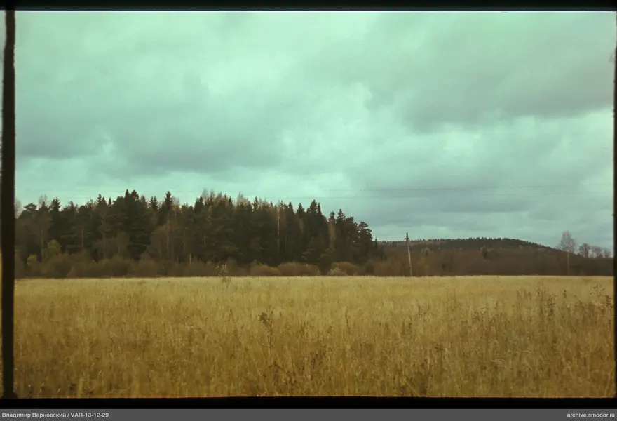 Field and forest with wires