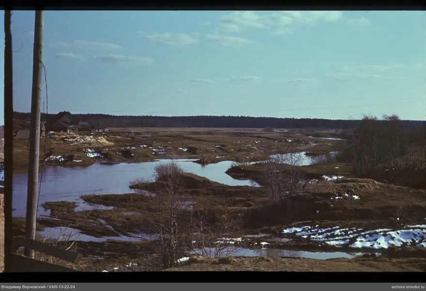 Река с деревьями и домами