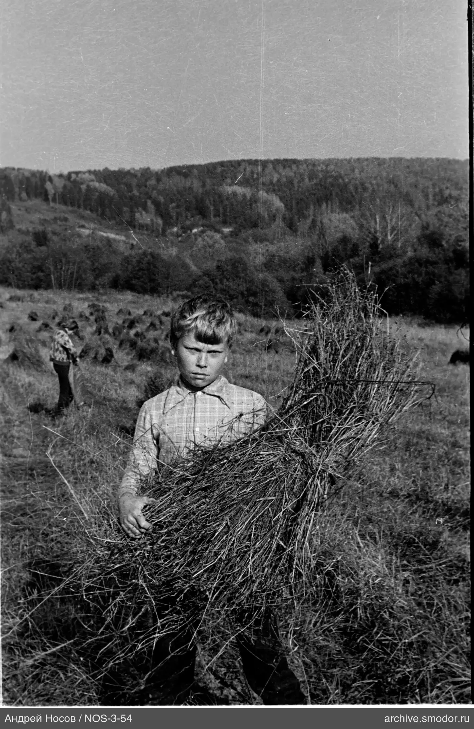 Boy with a sheaf of grass and woman in the field