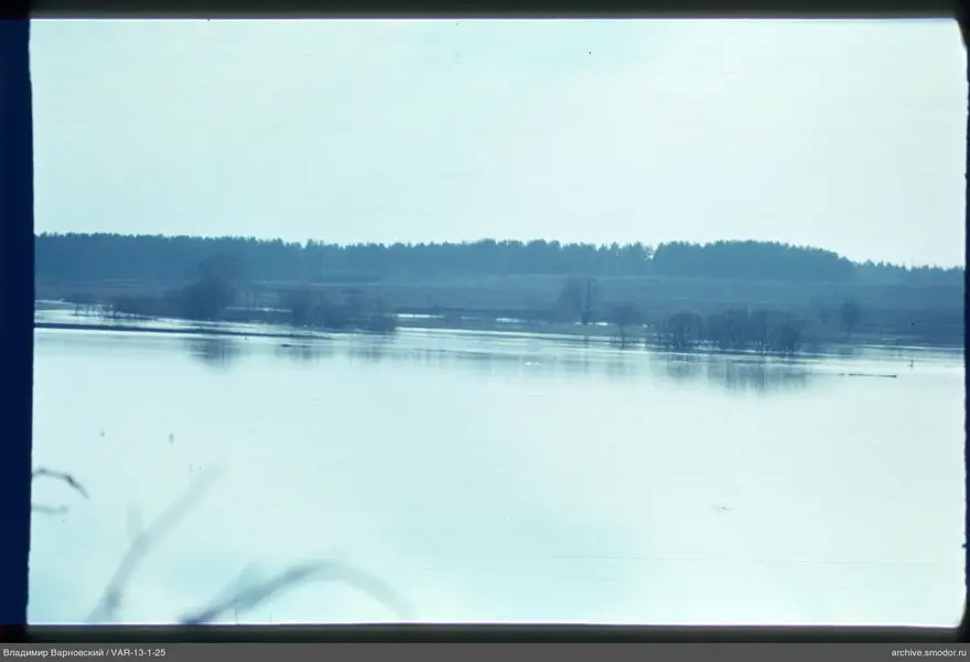 View of water and trees