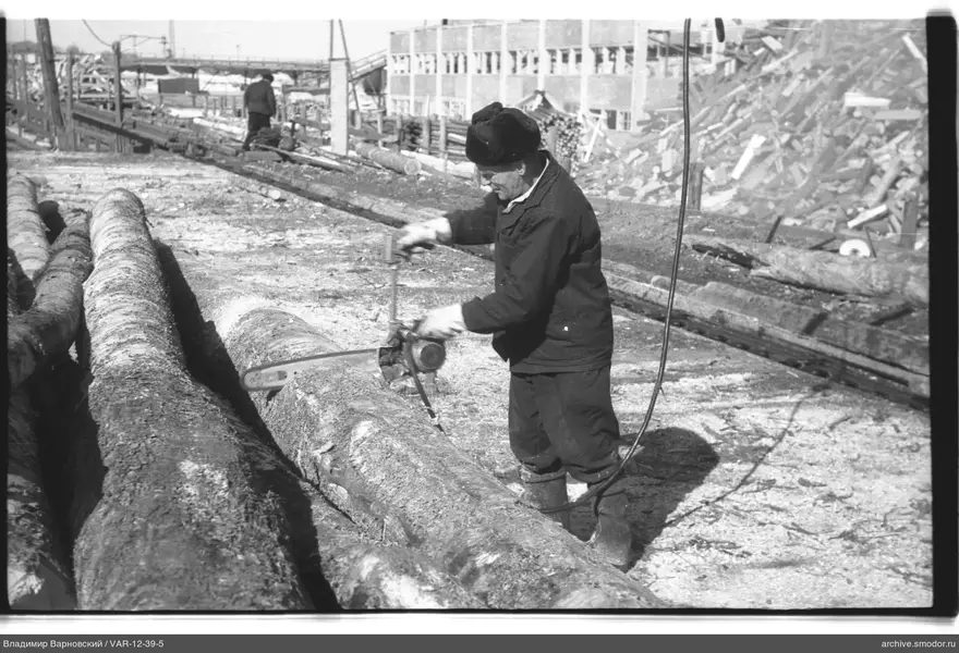 Мужчина с бензопилой у бревна на работе