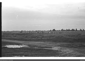 VAR-16-6-6
