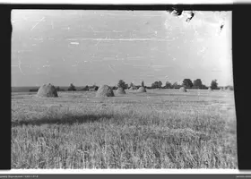 VAR-1-57-8