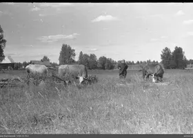 VAR-16-16-2