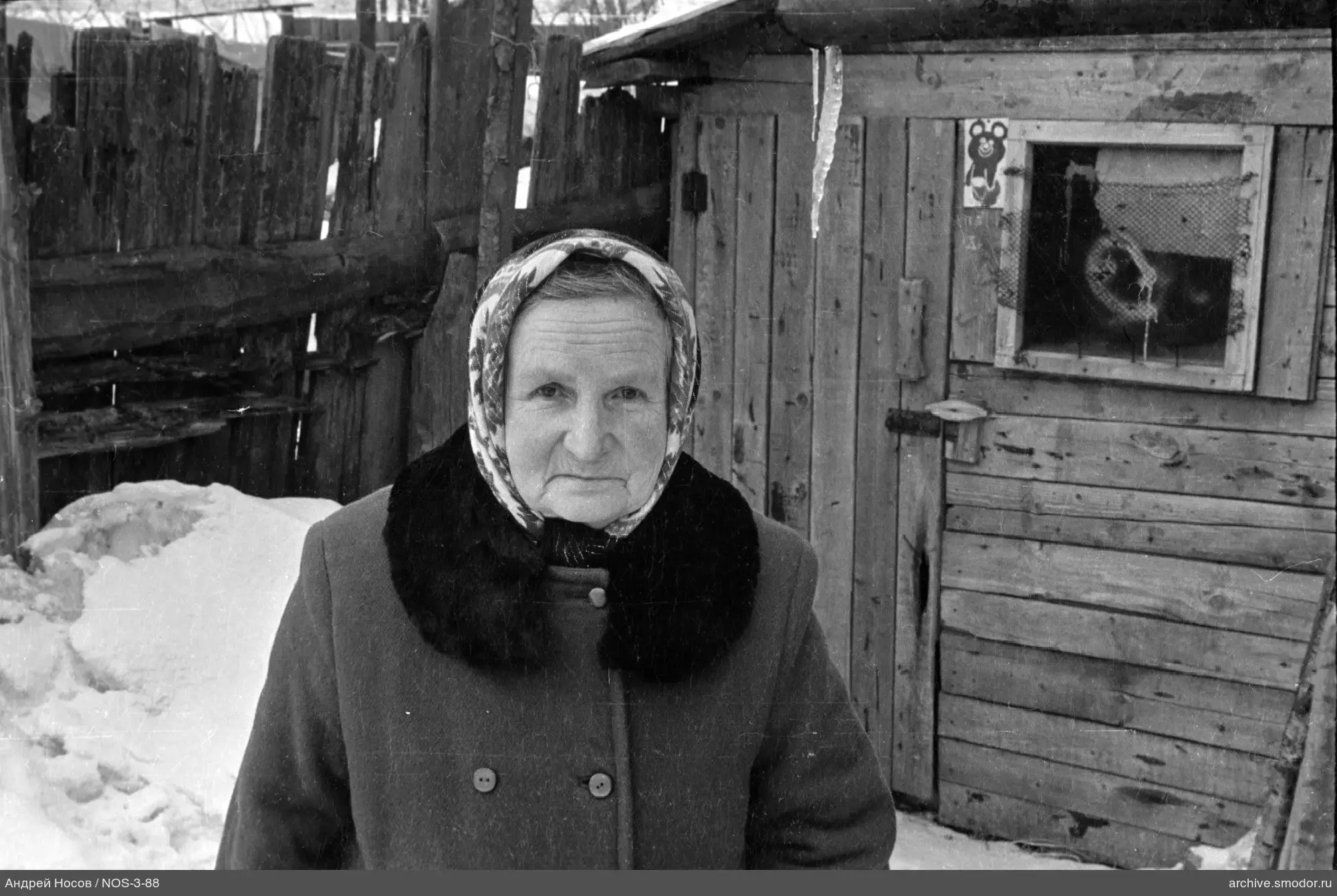 Портрет пожилой женщины у деревянного загона