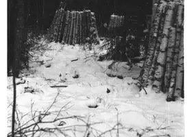 VAR-1-13-9