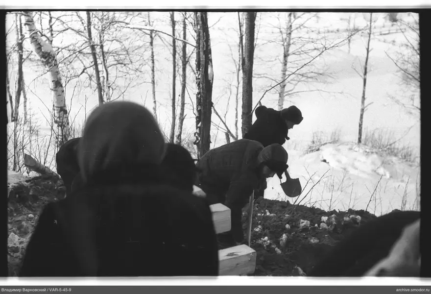 Men digging snow among birch trees